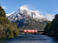 Bariloche: Colgados de un puente, protestan contra los incendios forestales