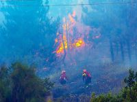 Renuevan los contratos de 450 brigadistas para combatir los incendios forestales