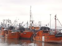 Los gobernadores patagónicos rechazaron los cambios en la actividad pesquera