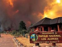 El incendio forestal en el Parque Nacional Los Alerces ya arrasó 577 hectáreas