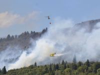 Chubut: el incendio en Los Alerces ya consumió 2.800 hectáreas