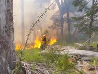 Incendio en Brazo Tristeza: el fuego sigue activo y avanza sobre la vegetación