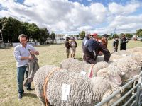 Comienza el ciclo de Exposiciones Rurales de verano 2024