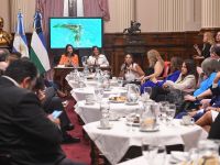 Emprendedoras y empresarias rionegrinas expusieron en el Senado