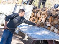 Comienza la segunda etapa del Plan Calor Leña 2024