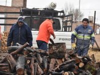 Plan Calor 2024: “La leña que se compró es de excelente calidad”