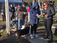 Última Entrega del Plan Calor Garrafas en Bariloche