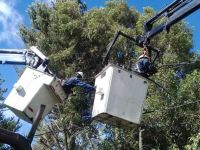 Más tecnología y menos cortes: la CEB fortalece las redes eléctricas
