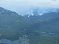 Incendio en el Parque: autoridades nacionales recorrieron la zona