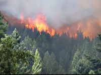Incendio en Epuyén: más de 2.000 hectáreas arrasadas
