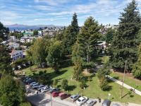 El municipio relevó el arbolado en la Plaza Belgrano para prevenir riesgos