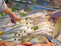 Cómo elegir, conservar y manipular el pescado en Semana Santa: las claves del SENASA