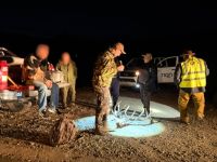 Cazaron un ciervo de 16 puntas con arma de guerra y pagarán $6 millones a una casa de infancias