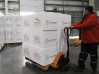 Nación enviará 1,2 millones de dosis de vacunas a las provincias desde el viernes para regularizar demoras