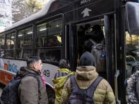 Las líneas 71 y 81 ya operan por separado: cómo quedaron los nuevos recorridos en Bariloche