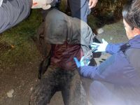 Detenidos en Bariloche con cocaína, marihuana y un revólver: intentaron escapar en la madrugada