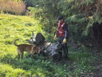 Mujer desaparecida en Bariloche : la búsqueda suma a la Brigada Rural y canes de General Conesa en el tercer día