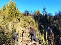 Diez días sin novedades y la búsqueda de Ana Lía Corte llega a nivel nacional