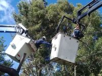 La CEB avanza con el plan de poda y refuerzo del sistema eléctrico para el invierno