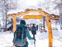  Nieve, gastronomía y bosque: así es el invierno en El Bolsón
