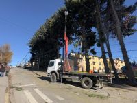 Comenzó el apeo preventivo en Beschtedt: más de 50 pinos con riesgo sobre viviendas y cables