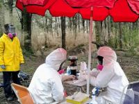 Neuquén lleva 20 años estudiando el hantavirus y aporta datos clave al caso del crucero MV Hondius