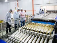 Río Negro adhirió al RIMI: qué beneficios fiscales tienen los productores y pymes de la provincia