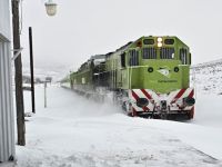 El Tren Patagónico abre la venta de pasajes para julio: precios, camarotes y el coche cine vuelve