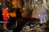 Árboles caídos, ramas y hielo: las cuadrillas municipales trabajaron toda la noche en Bariloche