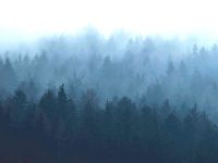 Niebla en Bariloche: Protección Civil pide extrema precaución y recuerda cómo circular con visibilidad reducida