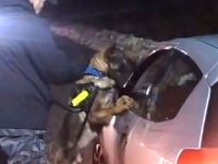 El perro Mirko detectó marihuana en el acceso al Cerro Catedral