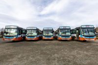 Cinco colectivos nuevos se suman al recorrido diario de Bariloche