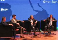 "Desde Vaca Muerta hacia el mundo": Weretilneck expuso en el Foro Pymes Italia