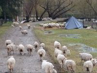 El Manso: el Gobierno reforzó la ayuda a productores tras la crecida