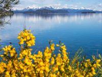 Qué hacer en Bariloche en primavera 2026: agenda, senderos y clima