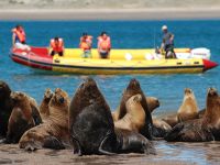 Turismo en Río Negro 2026: guía completa de las cuatro regiones