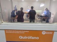 Sanidad Animal ya opera con tres puestos quirúrgicos en simultáneo